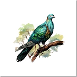 Nicobar Pigeon Posters and Art